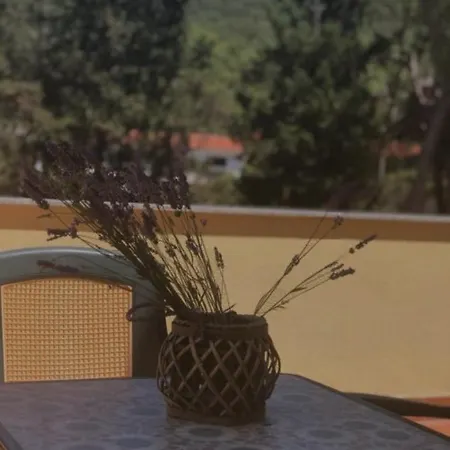 My Oasis *