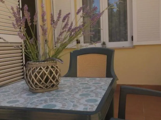 Apartamento My Oasis
